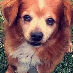 Meet your Posher, Veronica